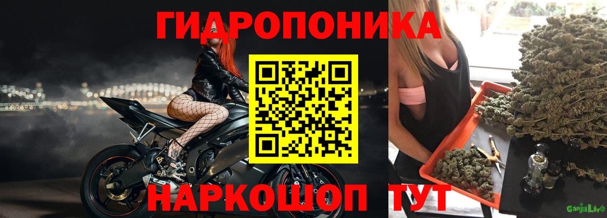 Орехово-Зуево  Бошки Шишки ГИДРОПОН  Канабис семена  Шишки марихуана планчик  Вход с VPN 